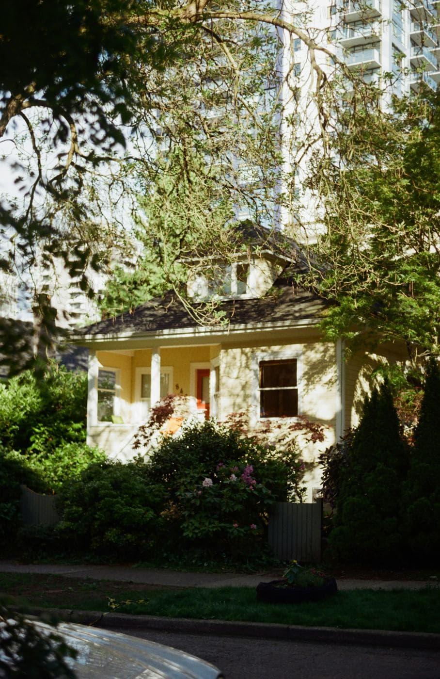 A character home among the trees