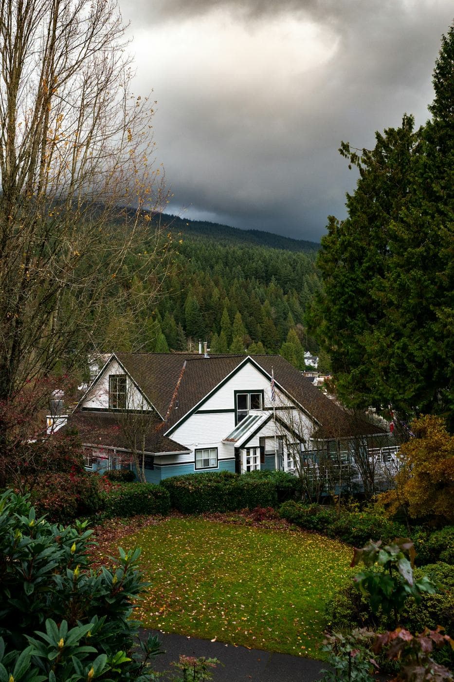 A North Vancouver family home among trees