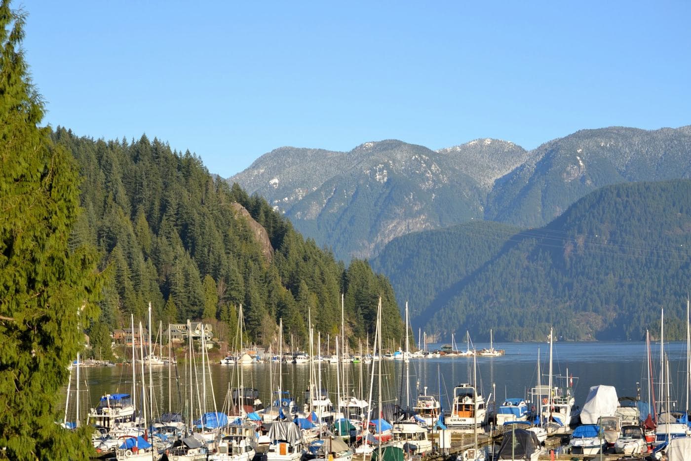 Boats in Deep Cove with forested mountains behind